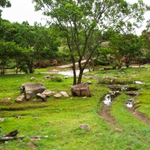 DSC04990_InPixio