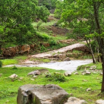 DSC04991_InPixio
