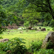 DSC04996_InPixio