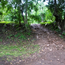 DSC05005_InPixio