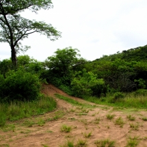 DSC05022_InPixio