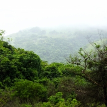 DSC05025_InPixio