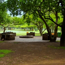 DSC05031_InPixio