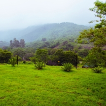 DSC05039_InPixio