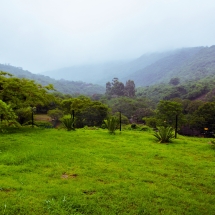DSC05040_InPixio