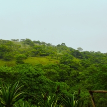 DSC05044_InPixio