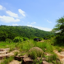 DSC05241_InPixio