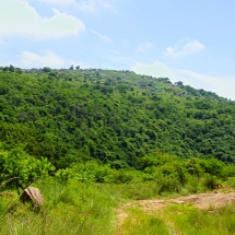 DSC05242_InPixio