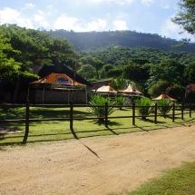 DSC05355