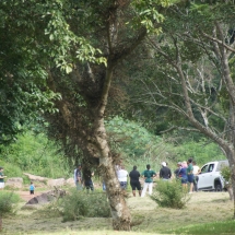 DSC05367