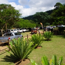 DSC05372