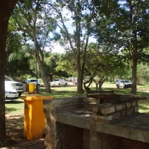 DSC05377