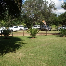 DSC05388