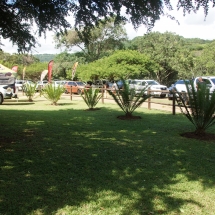 DSC05389